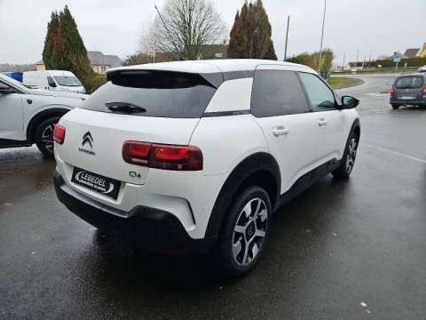 CITROEN C4 Cactus BlueHDi 100ch S&S Feel E6.d